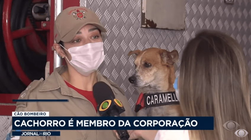 Cachorro Caramelo é membro da Corporação de Bombeiros – Band (Jornal do Rio)