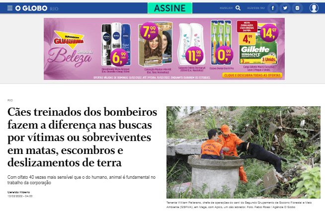 Cães treinados dos bombeiros fazem a diferença nas buscas por vítimas ou sobreviventes – O Globo