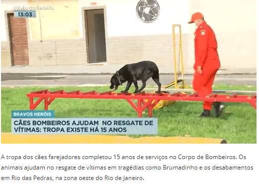 Tropa dos cães farejadores completa 15 anos de serviços – Record RJ (Balanço Geral)