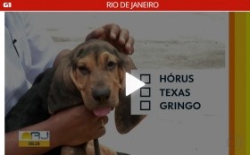 Corpo de Bombeiros do RJ lança enquete para escolher nome do novo integrante – G1 / Bom Dia Rio