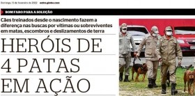 Militares baianos voltam do RJ após atuação nas buscas por vítimas das chuvas em Petrópolis – G1