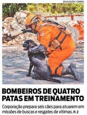 Bombeiros RJ preparam seis cães para atuarem em missões de buscas e resgates de vítimas – O Dia