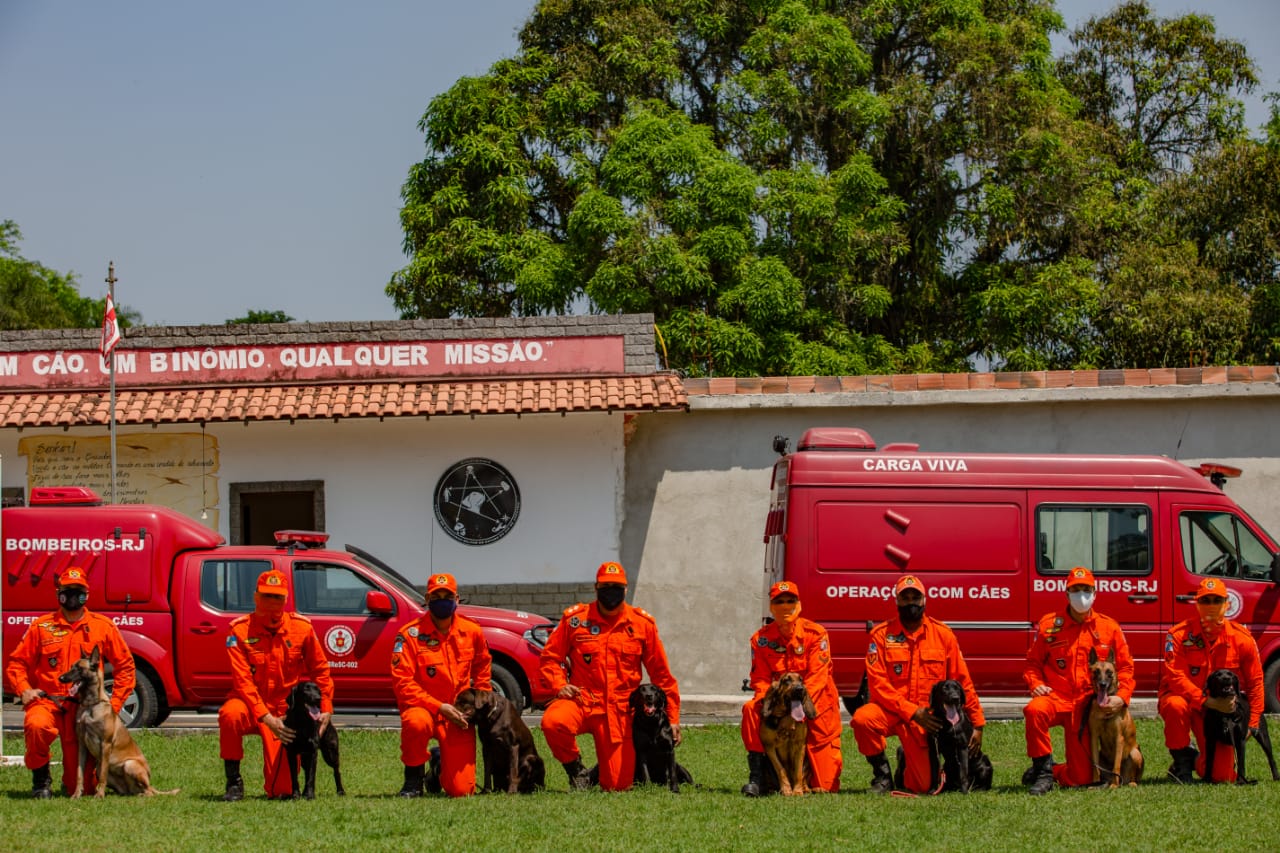 Corpo de Bombeiros RJ sedia etapa da Certificação Nacional de Cães de Busca e Resgate