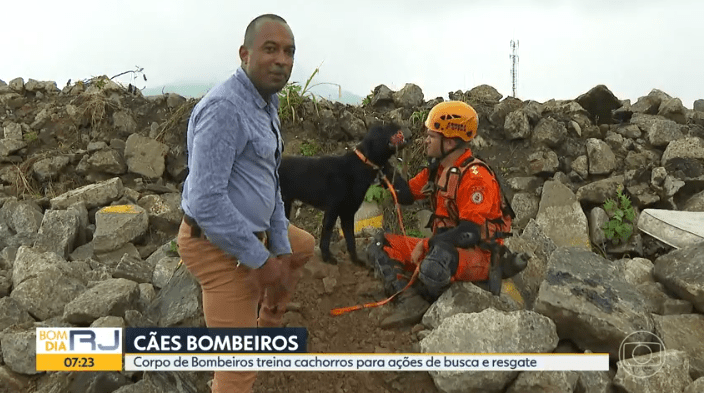 Corpo de Bombeiros RJ treina cães para busca e resgate – Rede Globo (Bom Dia Rio)