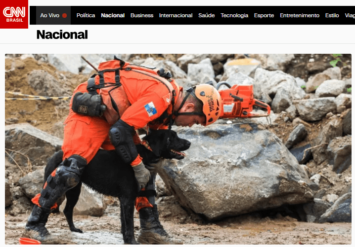 Multipremiados: cães de regaste do RJ colecionam 42 certificações – CNN (Nacional)