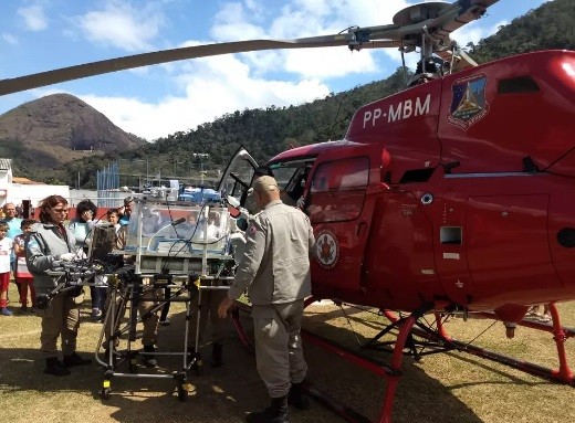 Dia do Bombeiro: relembre cenas heroicas no interior do RJ de quem luta pela vida dos homens, dos animais e do planeta – G1 (Região Serrana)