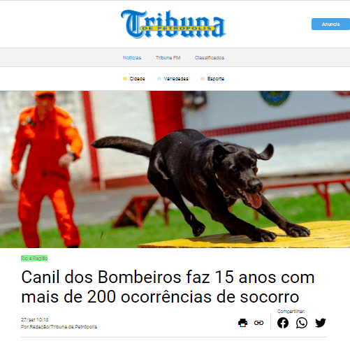 Canil do CBMERJ completa 15 anos com mais de 200 ocorrências de socorro – Tribuna de Petróplois