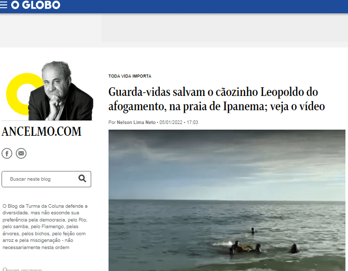 Guarda-vidas salvam o cãozinho Leopoldo do afogamento, na praia de Ipanema – Ancelmo.com