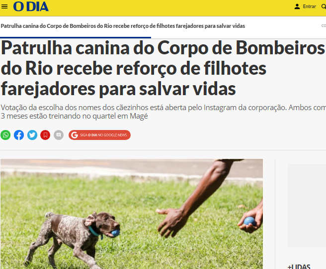 Patrulha canina do Corpo de Bombeiros do Rio recebe reforço de filhotes farejadores para salvar vidas – O Dia