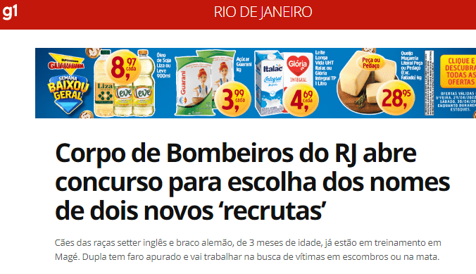 Corpo de Bombeiros do RJ abre concurso para escolha dos nomes de dois novos ‘recrutas’ – G1