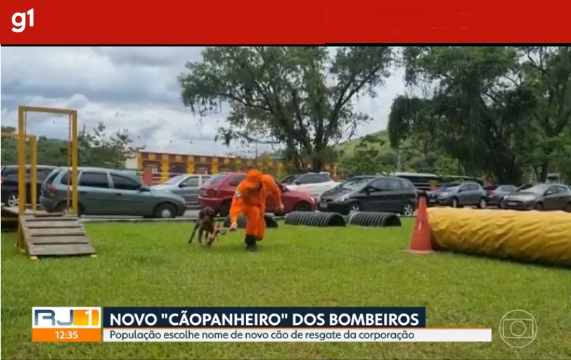 População escolhe nome de novo cão de resgate do Corpo de Bombeiros – G1