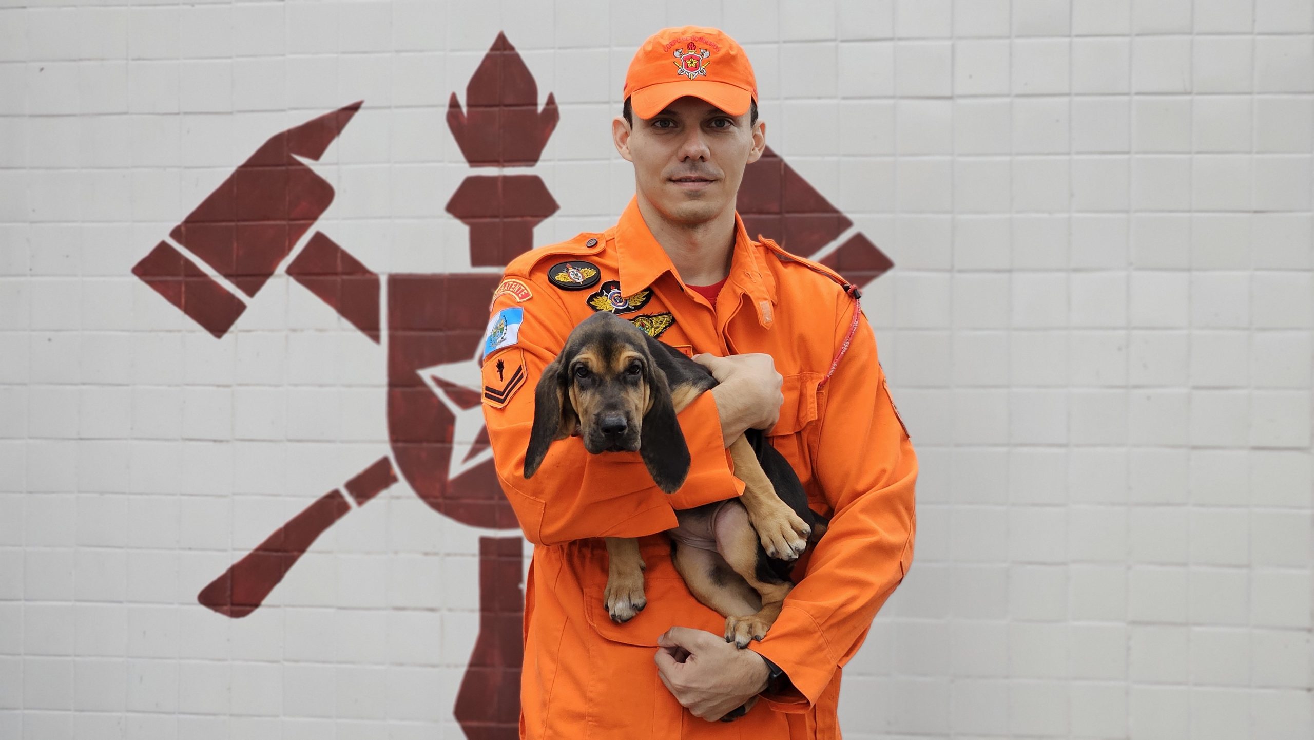 Canil do Corpo de Bombeiros do Rio ganha novo reforço