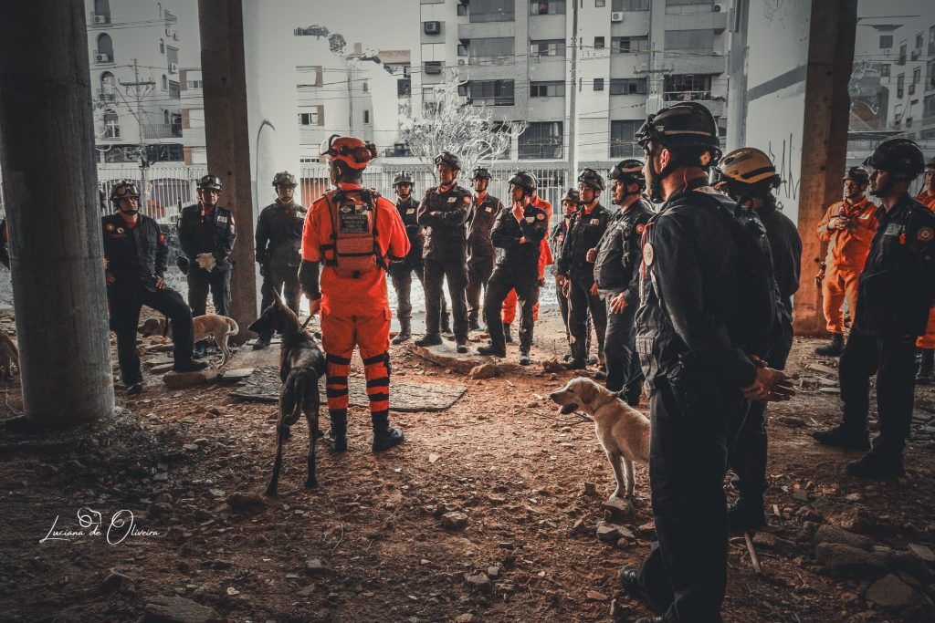 Corpo de Bombeiros do RJ participa de curso com cães de busca no Rio Grande do Sul