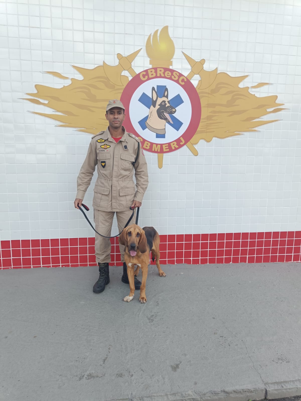 Canil do CBMERJ ganha reforço operacional na busca por pessoas desaparecidas em matas e florestas