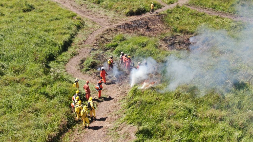 Corpo de Bombeiros realiza mega treinamento contra incêndios florestais no Sul Fluminense