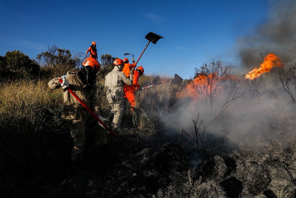 Corpo de Bombeiros registra redução de 33% nas ocorrências de incêndios em vegetação no Rio