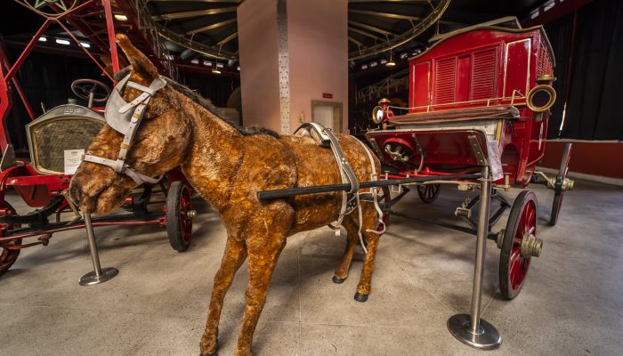 1º Serviço de resgate com ambulância criado em 1899 pelo Coronel do Corpo de Bombeiros Francisco Marcelino de Souza Aguiar.